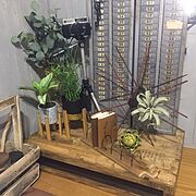 IKEA/植物育成ライト…などのインテリア実例 - 2017-01-18 14:34:46 | RoomClip（ルームクリップ）